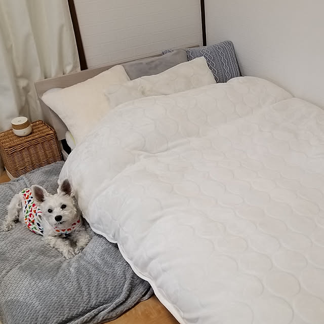 milさんの実例写真
