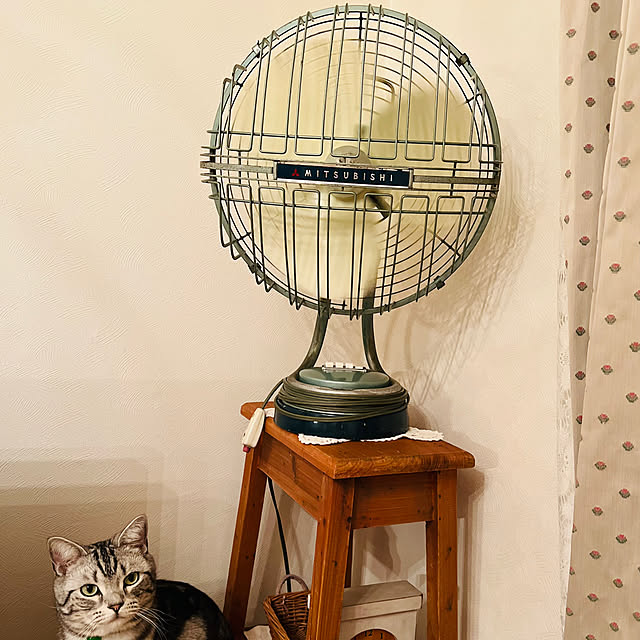 asachan625さんの実例写真