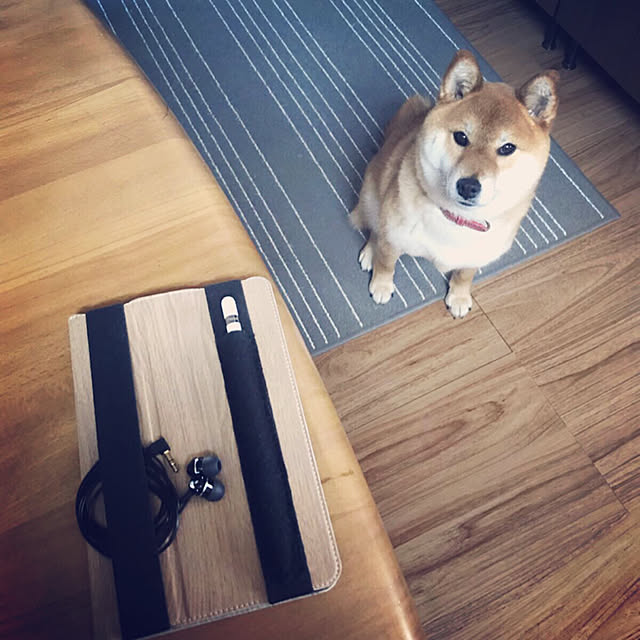 kinakontasuさんの実例写真