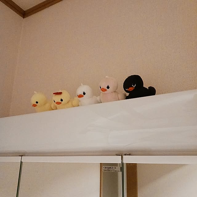 mizukingyoさんの部屋