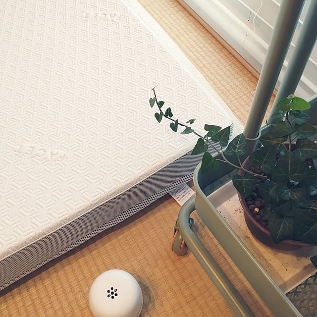 tan5さんの部屋