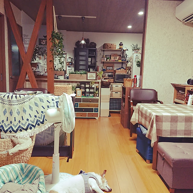 実例写真
