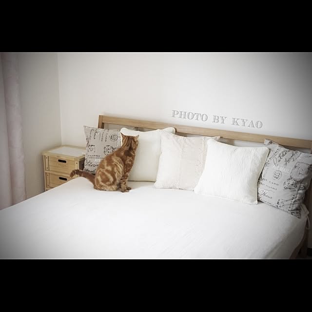 kyaoさんの実例写真