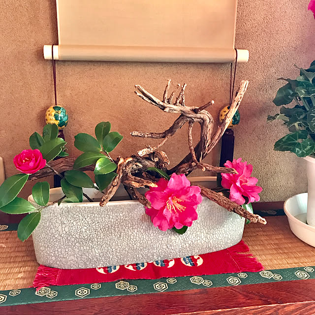 ankoさんの実例写真