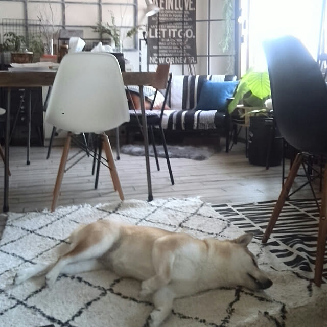 kさんの実例写真