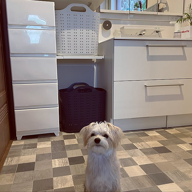 seiさんの実例写真