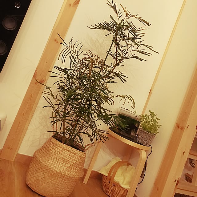 nonkoroさんの実例写真
