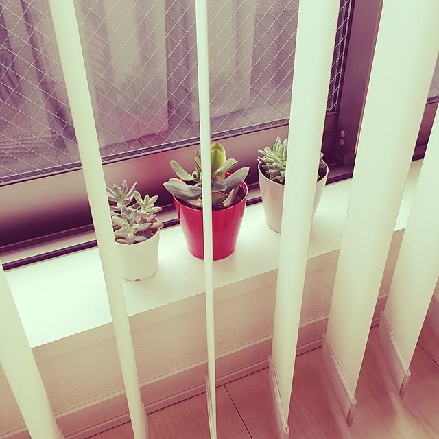 okayuさんの実例写真