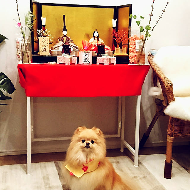 maikeru.3384さんの実例写真