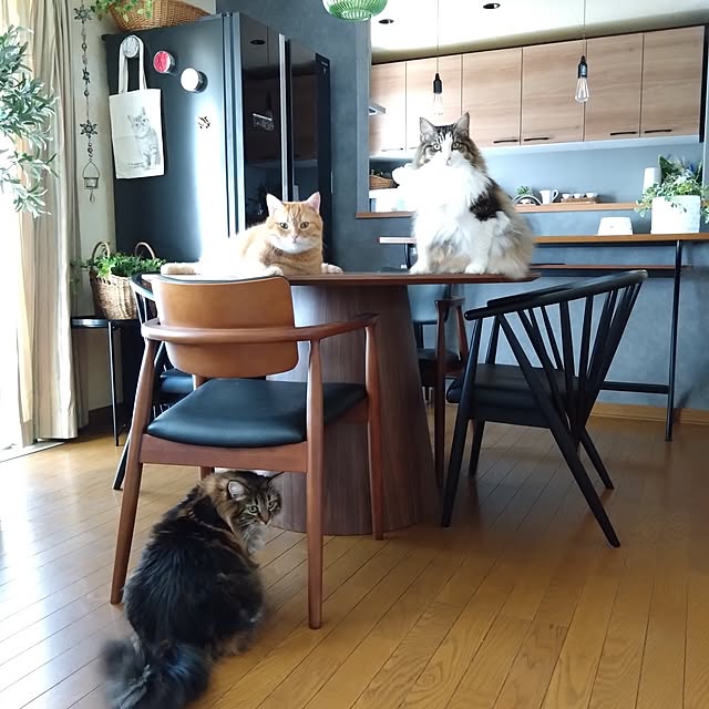CHIKAさんの実例写真