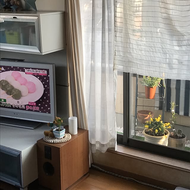 ariceさんの実例写真