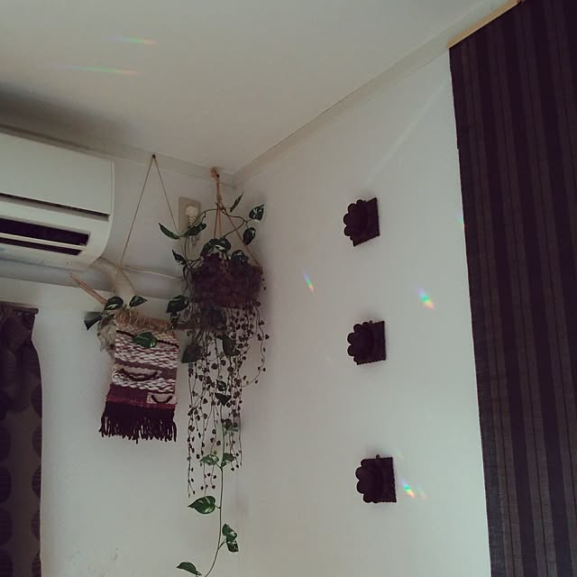miwaさんの実例写真