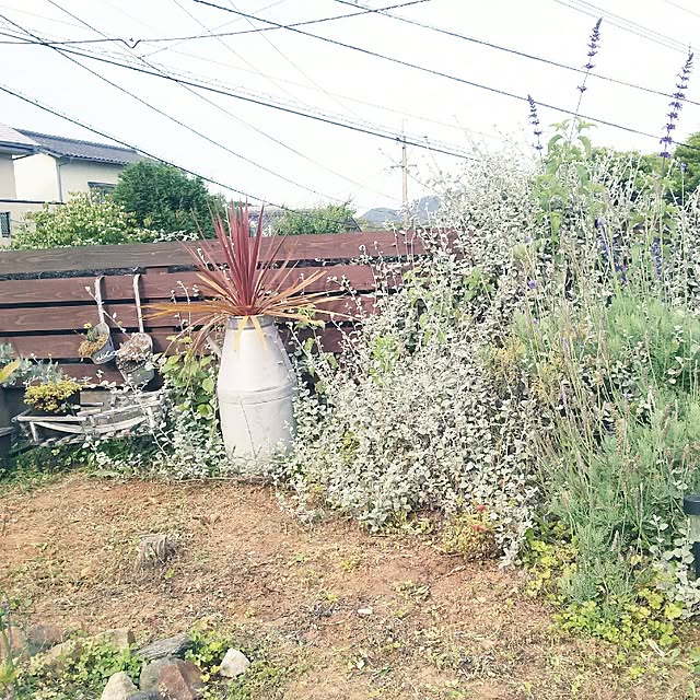 mizuさんの実例写真