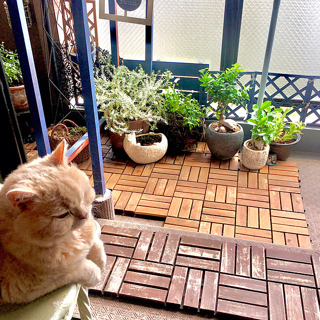 naokoさんの実例写真