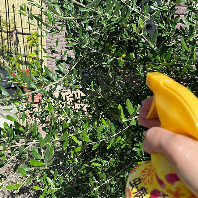 alchoさんの実例写真