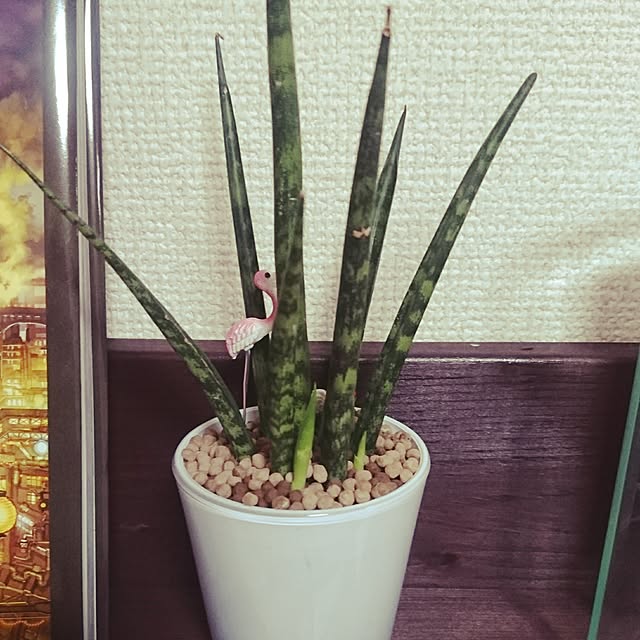 YUKIさんの実例写真
