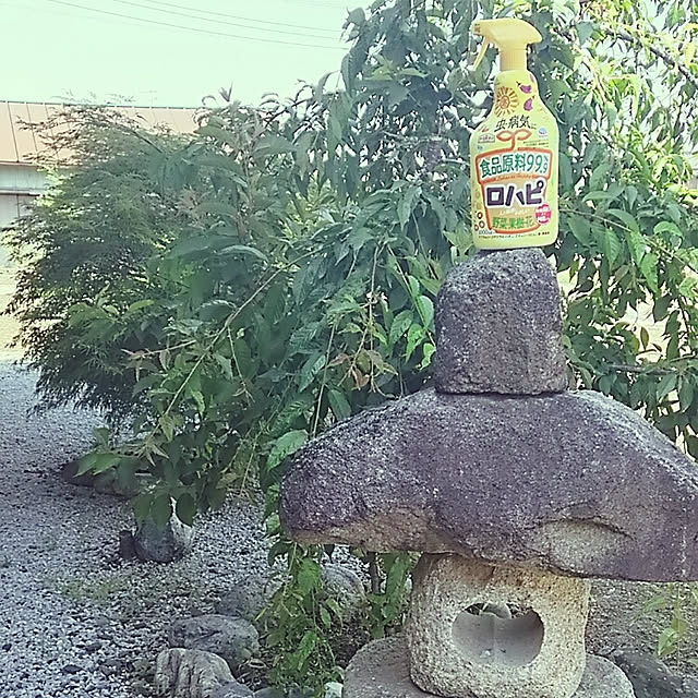 sunflowerさんの実例写真