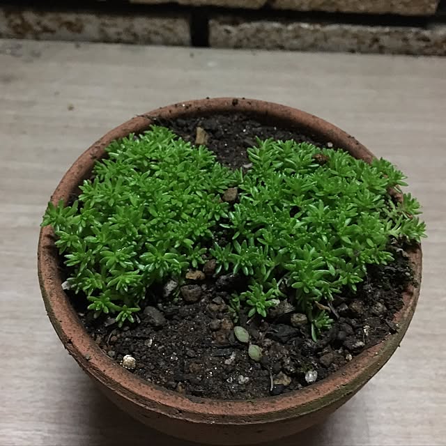 Ryosukiさんの実例写真