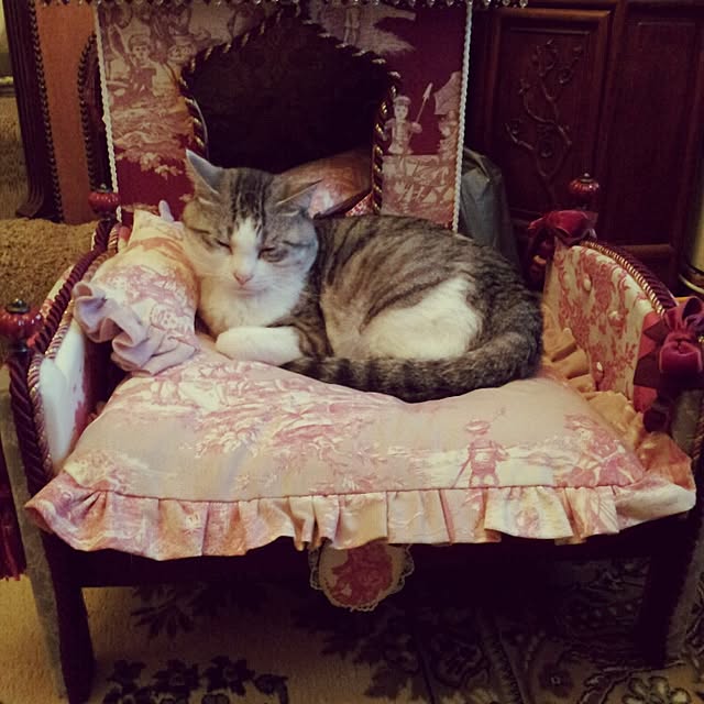 emmyyさんの実例写真