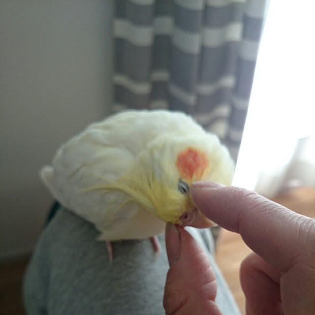 bibi.karuさんの実例写真