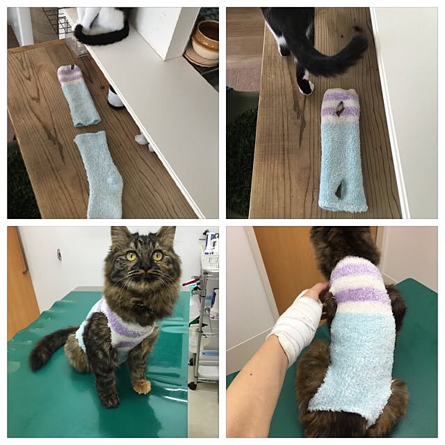 mikomaruさんの実例写真