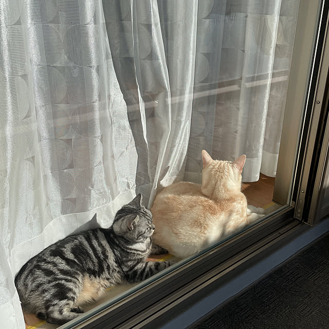 hiyupan88さんの実例写真