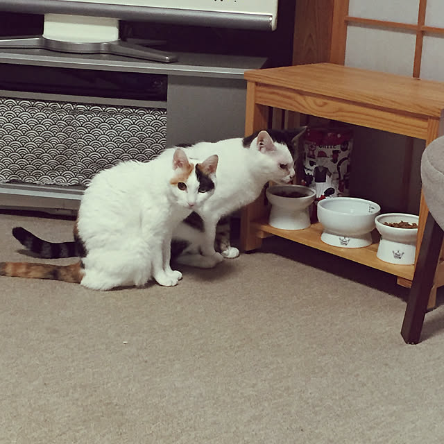 yocchiさんの実例写真
