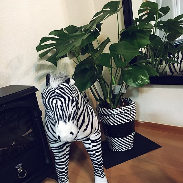 meimamaさんの実例写真