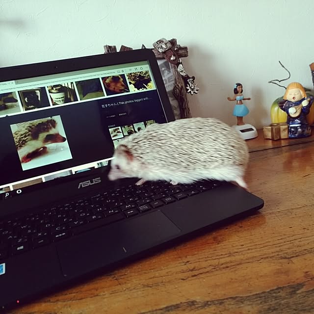 kuruさんの実例写真