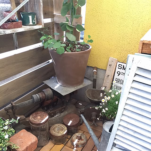 natulove0418さんの実例写真