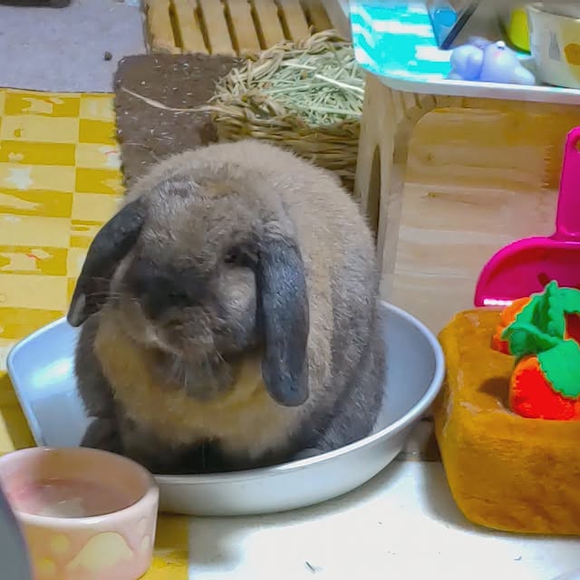 mariaさんの実例写真