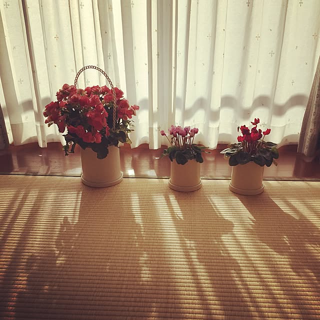 yuさんの実例写真