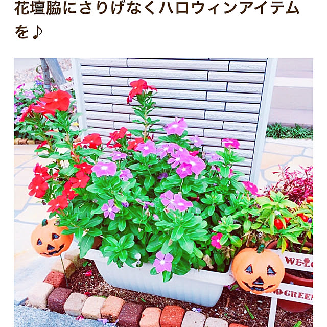 manachanさんの実例写真