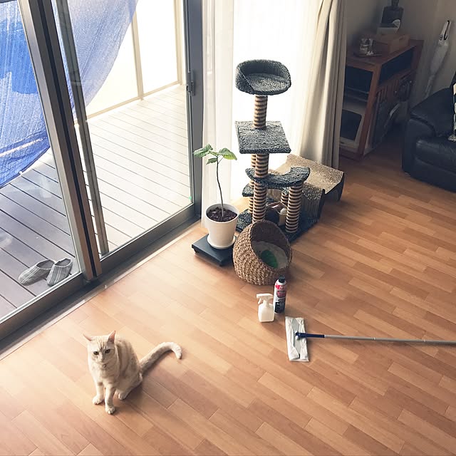 hiyupan88さんの実例写真