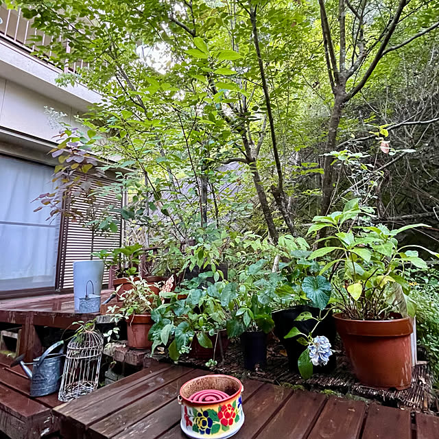 cota2さんの部屋