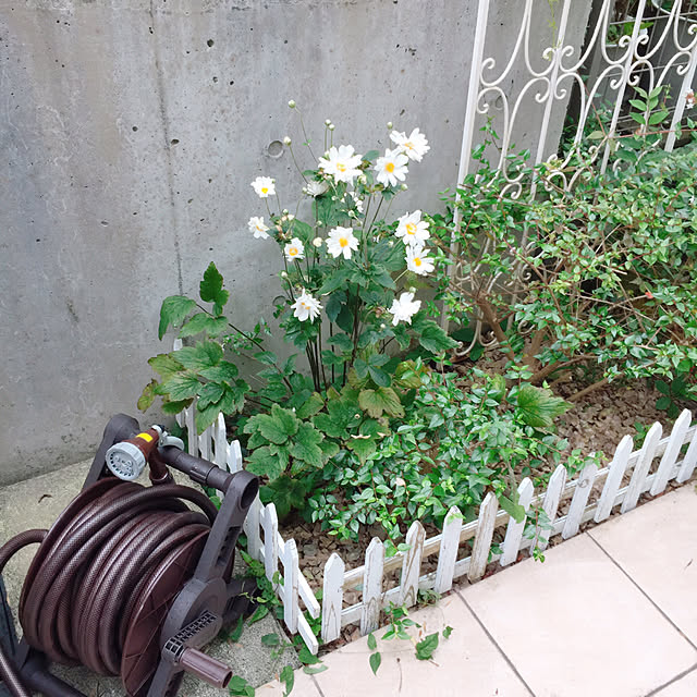 Rさんの実例写真