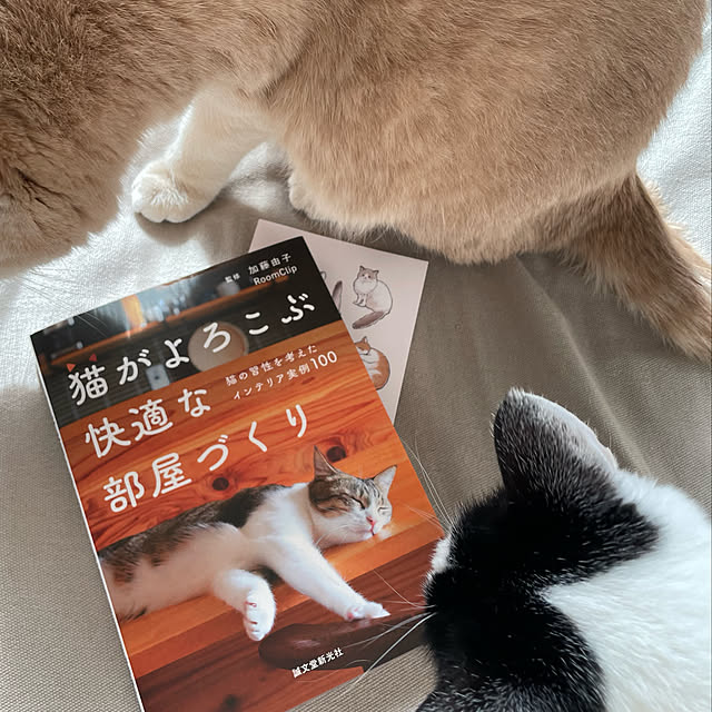 nicoさんの実例写真