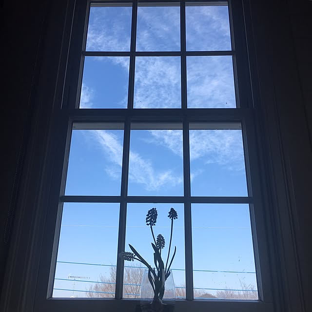Claraさんの実例写真