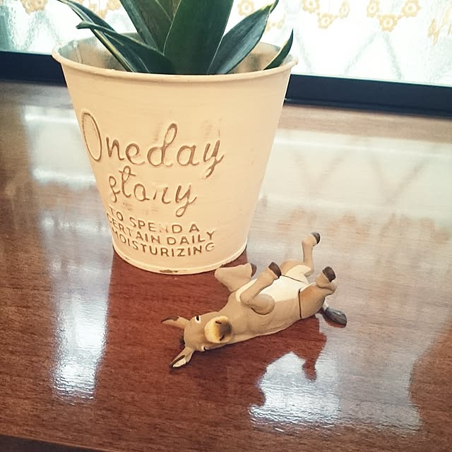 tenchaさんの実例写真