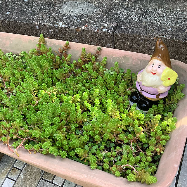 haruminさんの実例写真