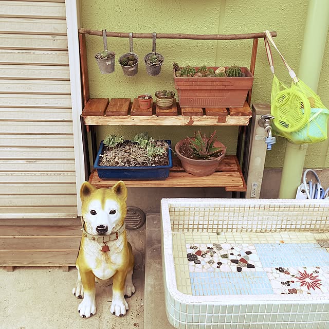 Kamuさんの実例写真