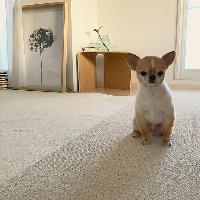 haruhinaさんの実例写真