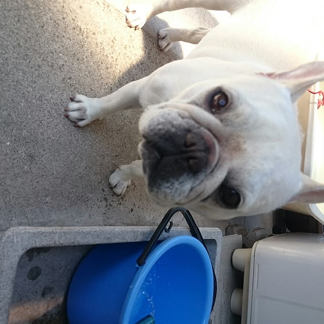 putih0328さんの実例写真