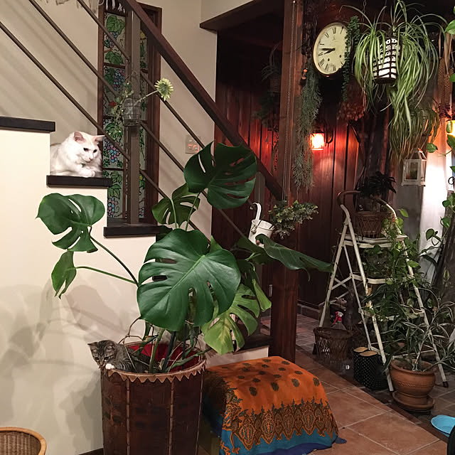 shigimiさんの実例写真