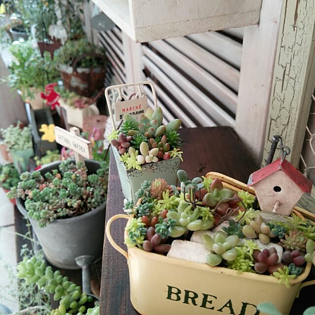 kokkomachaさんの実例写真