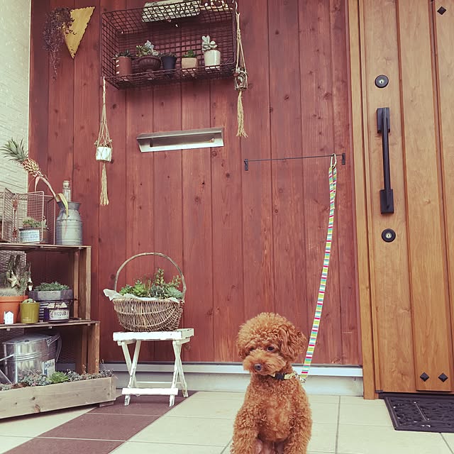 zappa_968さんの実例写真