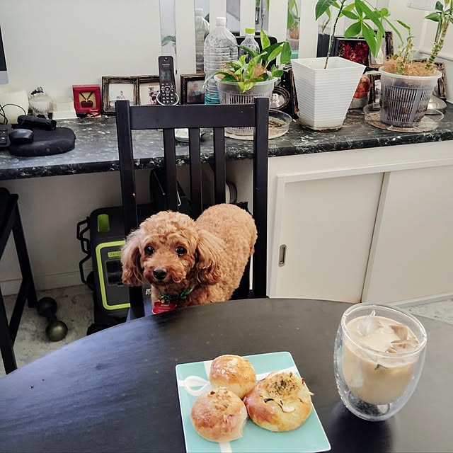 MOMOMAMAさんの実例写真