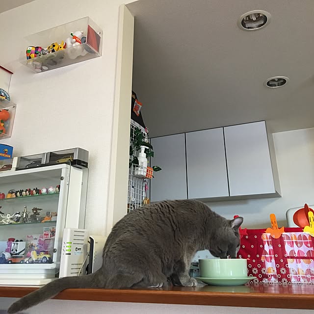 ikettenさんの実例写真