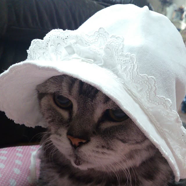 showさんの実例写真