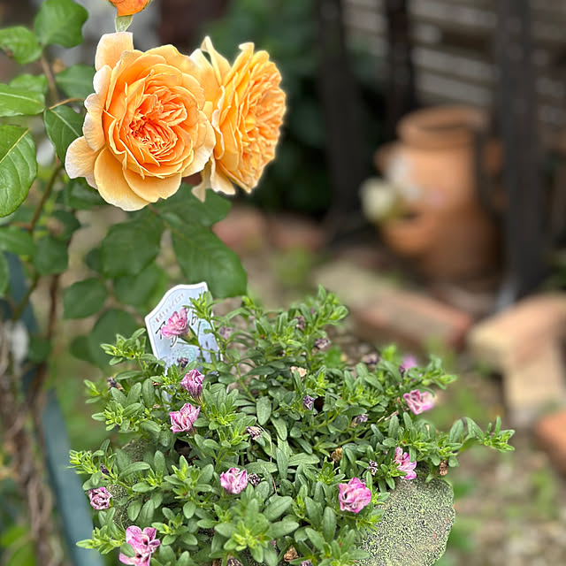 honeyさんの実例写真